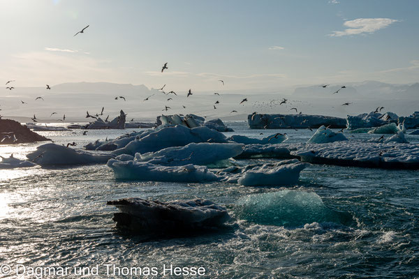 Eisberge im Abfluss der Gletscherlagune Jökulsárlón