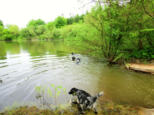 Akira krempelt den See um, es folgen Arven, Alwin und Asta (20.05.2012)