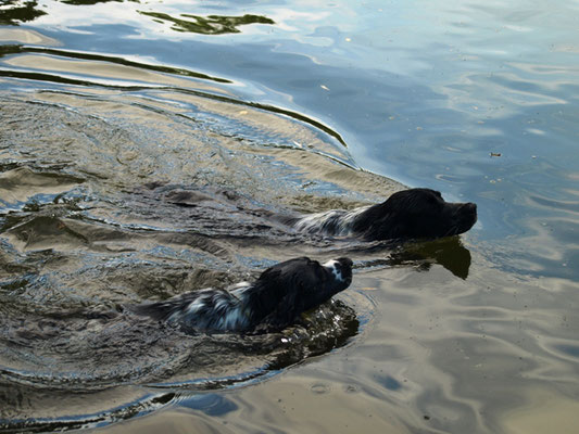 Asmus (links) und Arven (rechts) planschen gemeinsam (24.07.2012)