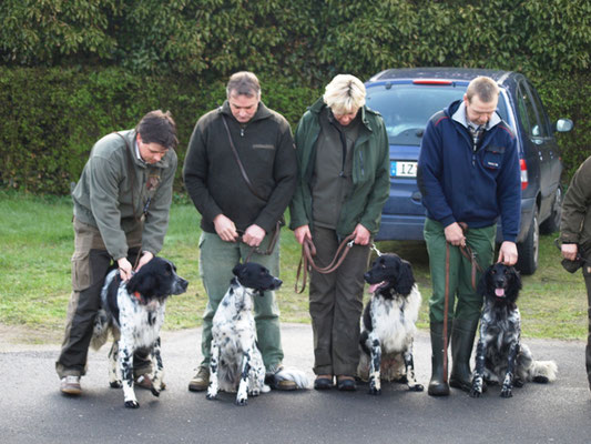 VJP in Schalkholz (von links): Arven, Ayla, Alva und Ajuna (21.04.2012)