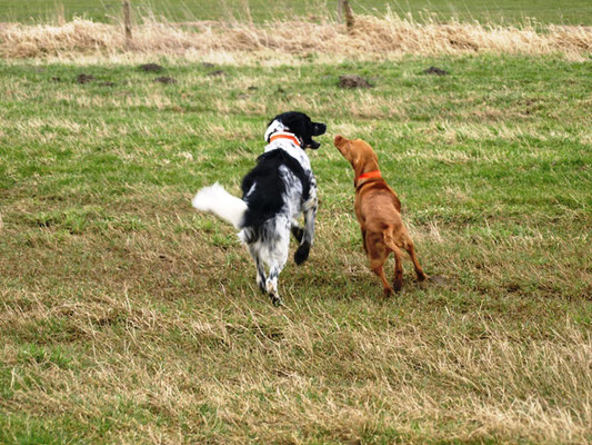 Arven beim Spielen mit Cjelle (11.03.2012)