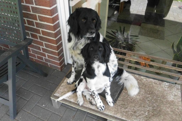 Birko mit seinem Papa Nick (06/2014)