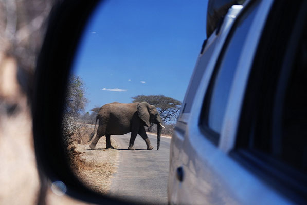 Kruger Nationalpark