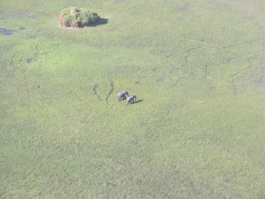 Okavango Delta