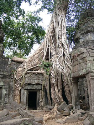 Ta Prohm