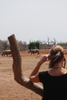 Hlane Nationalpark,Swasiland