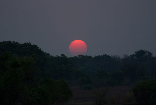 South Luangwa Nationalpark