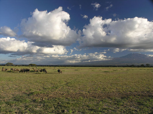 Amboseli Nationalpark