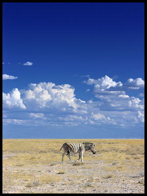 Etosha Nationalpark