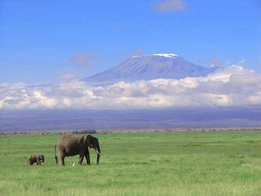 Amboseli Nationalpark