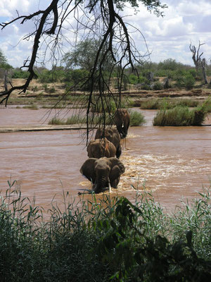 Tsavo East Nationalpark