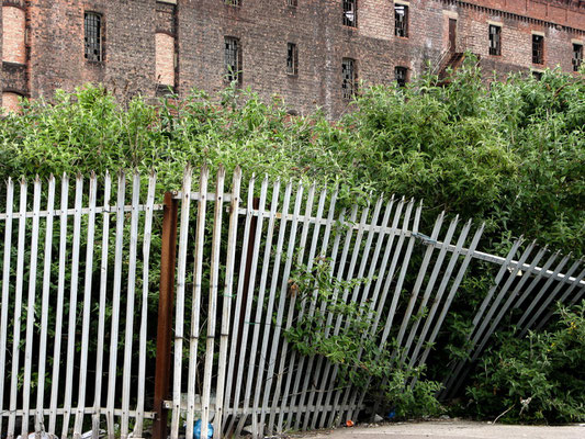 Fence, 2010