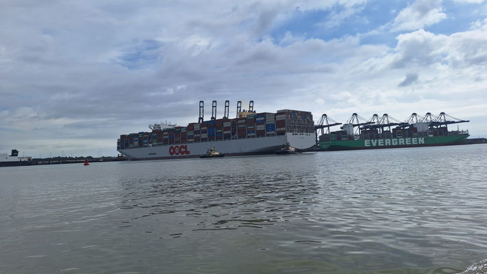 Containerhafeb Felixtowe