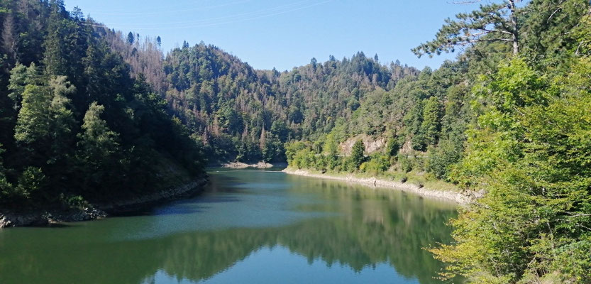 Schwarza - Stausee