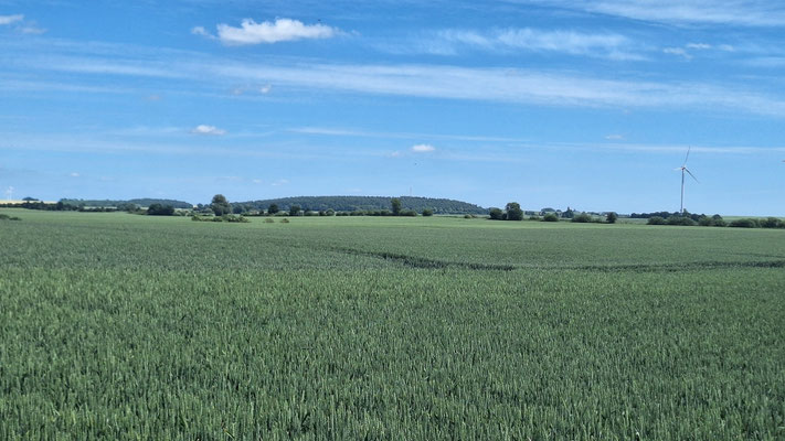 Rechts ist schon der Fernmeldeturm erkennbar