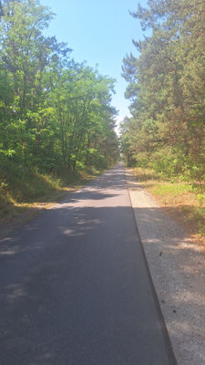 Bolzgerade Fahrradwege im Wald