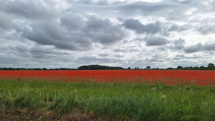 Doch noch Landschaft 