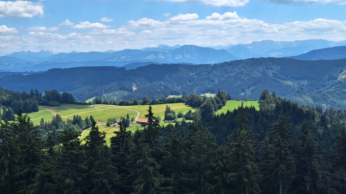Ausblick vom Turm
