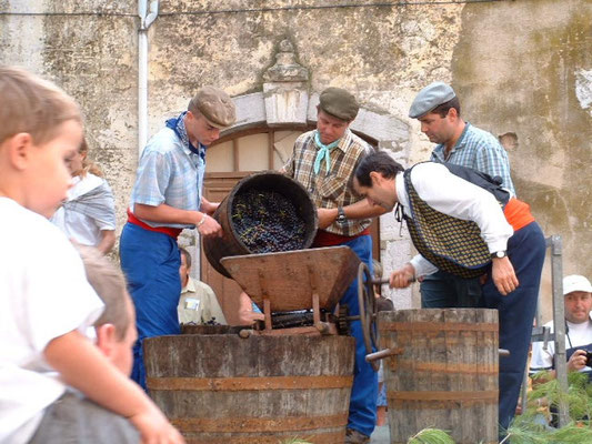 Montfort sur Argens - Fête des Vendanges - Le Gîte des Templiers