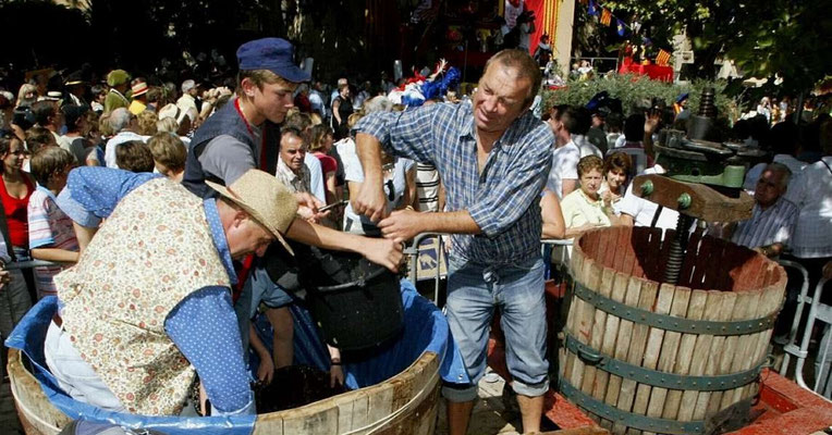 Montfort sur Argens - Fête des Vendanges - Le Gîte des Templiers