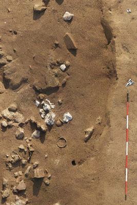 servizi per l'archeologia - cantieri