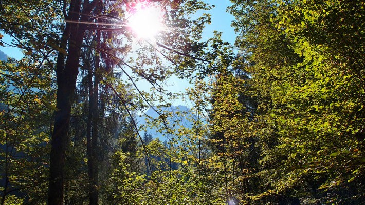 Unterwegs im Trettachtal