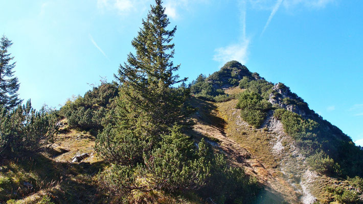 Blick zum Riffenköpfle