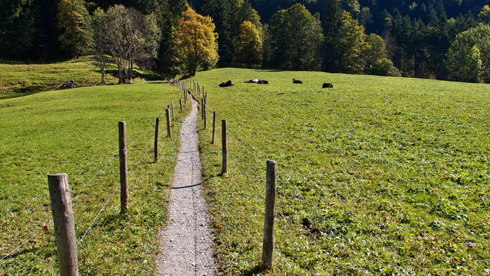 Unterwegs zum Höllentobel