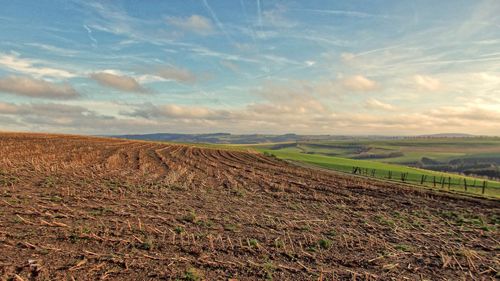 Landschaft bei Lieler (Luxembourg)