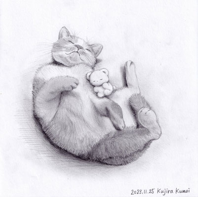 猫とやすみくま2