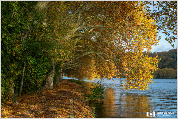 Herbst am See  |  Nikon Z8, NIKKOR Z 24-120 mm 1:4 S (51mm), ISO 100, 1/80s, f/13