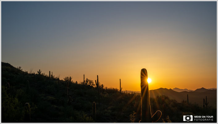 Sonnenuntergang im Saguaro NP | Nikon Z8, NIKKOR Z 24-120 mm 1:4 S (51 mm), ISO 100, 1/100, f/20