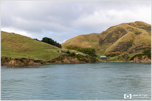 Einsames Wohnen bei Picton  |  Canon EOS R6, Canon RF 24-70mm F2.8L IS USM (24 mm), ISO 200, 1/60s, f/16