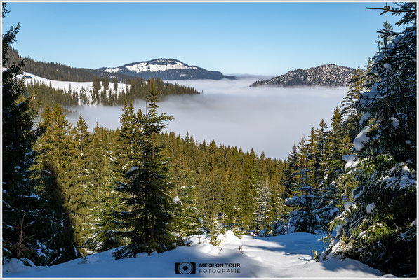 Hochnebel im Tannheimer Tal  |  Nikon Z8, NIKKOR Z 24-120 mm 1:4 S (53mm), ISO 100, 1/160s, f/16
