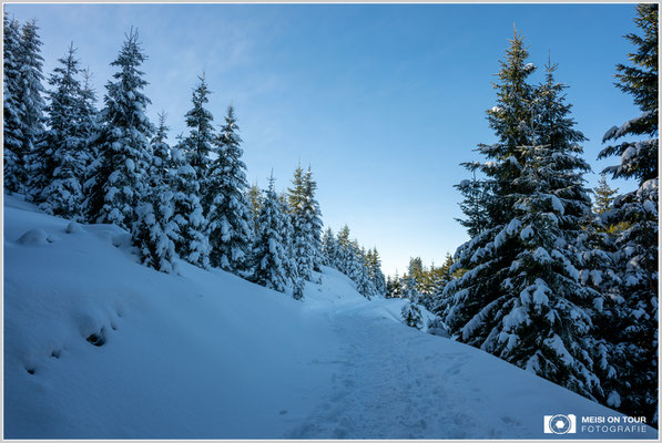Winterwanderweg im Tannheimer Tal  |  Nikon Z8, NIKKOR Z 24-120 mm 1:4 S (24mm), ISO 100, 1/50s, f/16