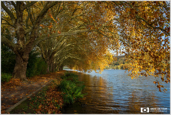 Herbst am See  |  Nikon Z8, NIKKOR Z 24-120 mm 1:4 S (24mm), ISO 100, 1/60s, f/13