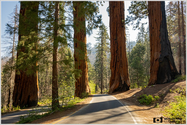 The Four Guardsmen im Sequoia NP | Nikon Z8, NIKKOR Z 24-120 mm 1:4 S (24 mm), ISO 200, 1/25, f/16