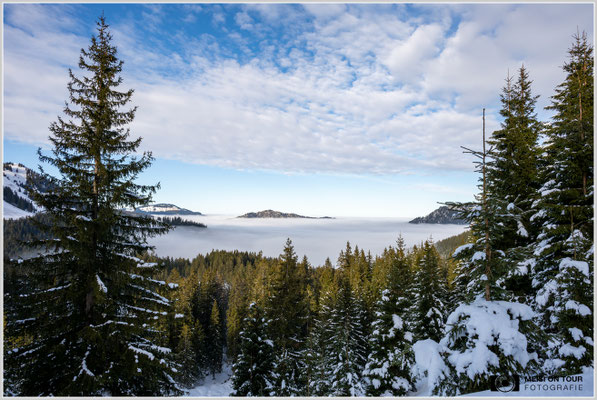 Hochnebel im Tannheimer Tal  |  Nikon Z8, NIKKOR Z 24-120 mm 1:4 S (24mm), ISO 100, 1/60s, f/16