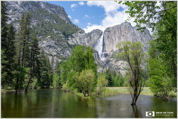 Yosemite Valley | Nikon Z8, NIKKOR Z 24-120 mm 1:4 S (32 mm), ISO 2200, 1/4000, f/8