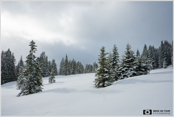 Winterlandschaft Tannheimer Tal  |  Nikon Z8, NIKKOR Z 24-120 mm 1:4 S (24mm), ISO 100, 1/100s, f/16