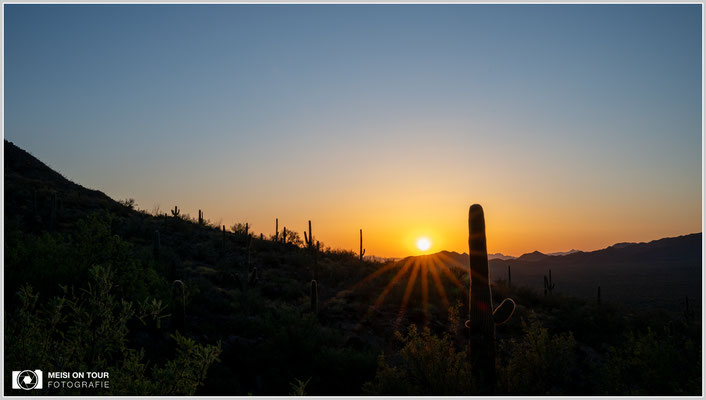 Sonnenuntergang im Saguaro NP | Nikon Z8, NIKKOR Z 24-120 mm 1:4 S (37 mm), ISO 180, 1/40, f/20