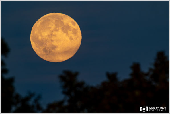Supermond vom 5. November 2025  |  Nikon Z9, NIKKOR Z 800 mm 1:6,3 VR S mit TC1,4x (1120 mm), ISO 800, 1/125s, f/18