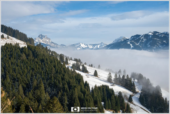 Hochnebel im Tannheimer Tal  |  Nikon Z8, NIKKOR Z 24-120 mm 1:4 S (44mm), ISO 100, 1/125s, f/16