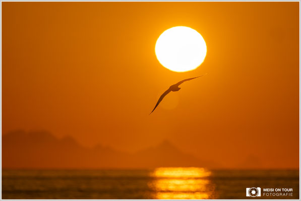 Sonnenaufgang bei Å | Nikon Z9, NIKKOR Z 100-400 mm 1:5,6 S +TC 1,4 (560 mm), ISO 100, 1/2500s, f/8
