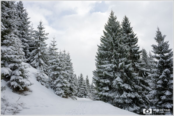 Winterlandschaft Tannheimer Tal  |  Nikon Z8, NIKKOR Z 24-120 mm 1:4 S (24mm), ISO 100, 1/50s, f/13