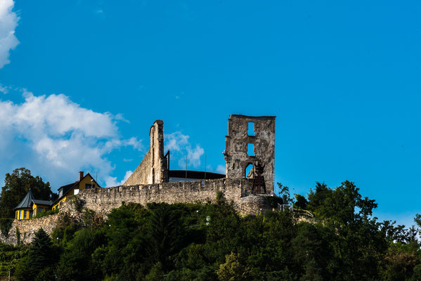 Blick zur Ruine