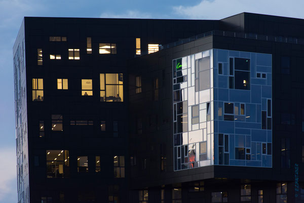Executiv Academie