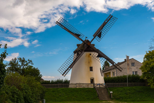 Die Windmühle, etwas versteckt am Rande von Rust.