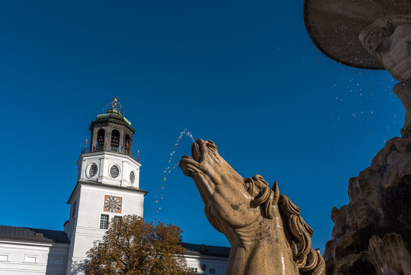 Wasserspeiendes Pferd Springbrunnen am Residenzplatz