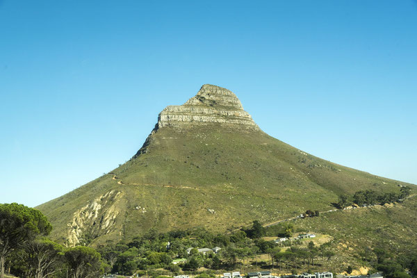 Lions Head